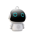 GeekyVault™ AI Robot