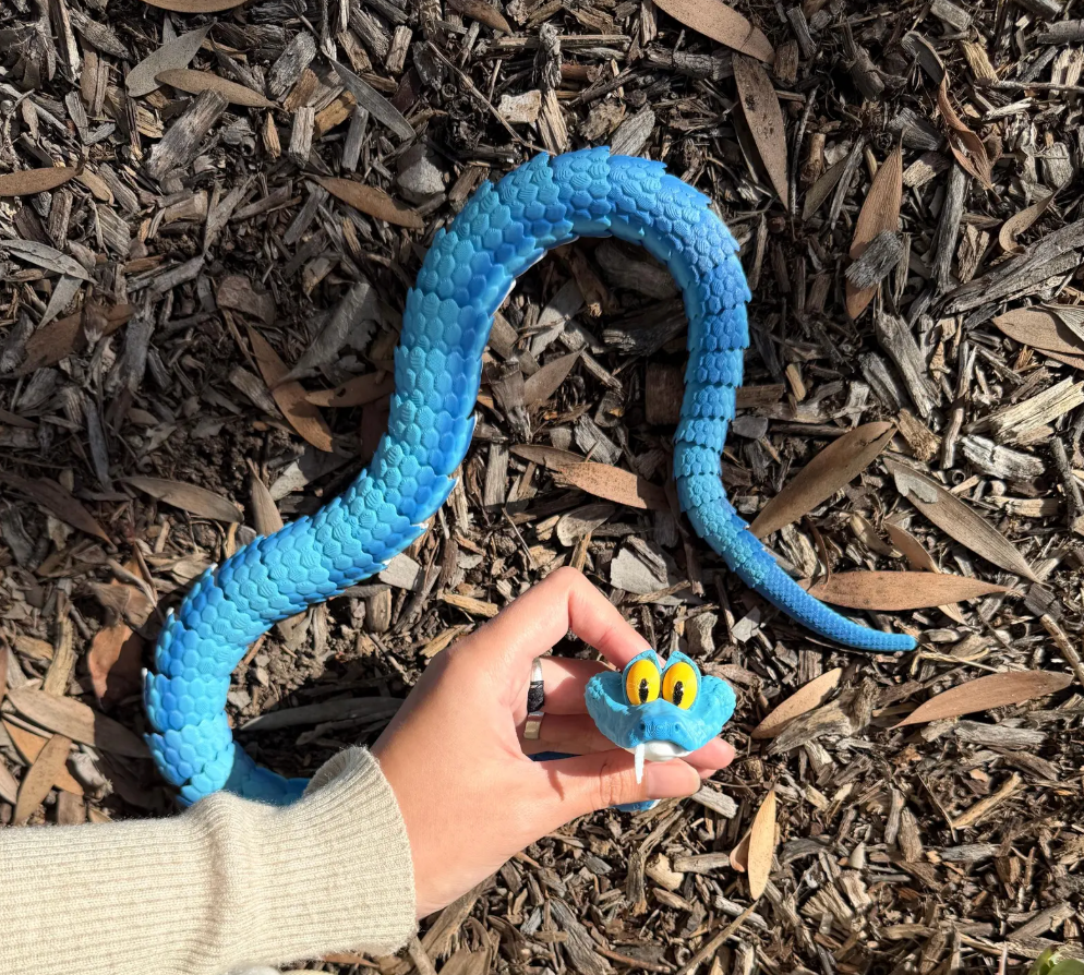 Gary Snake 3D Printed Toy